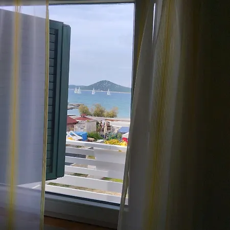 More * 沃迪切